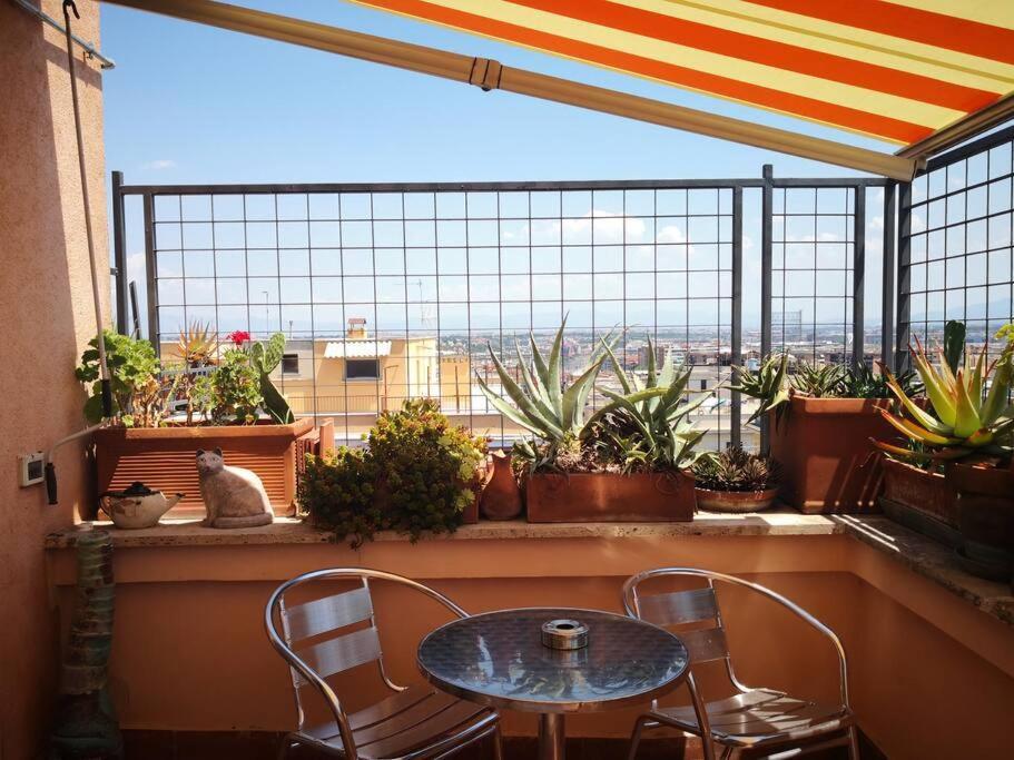 Rosa'S Terrace Roma Panoramic Penthouse Apartman Kültér fotó
